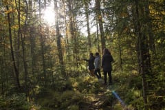 Campfire trek in the forest at Niemilomat