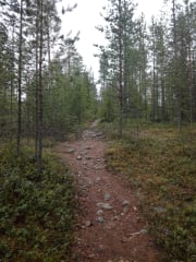 Polku Maupertuis-muistomerkille