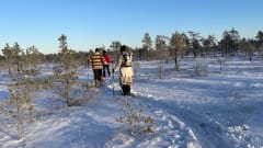 4 snowshoe hikers walking in a line in the winter sunshine