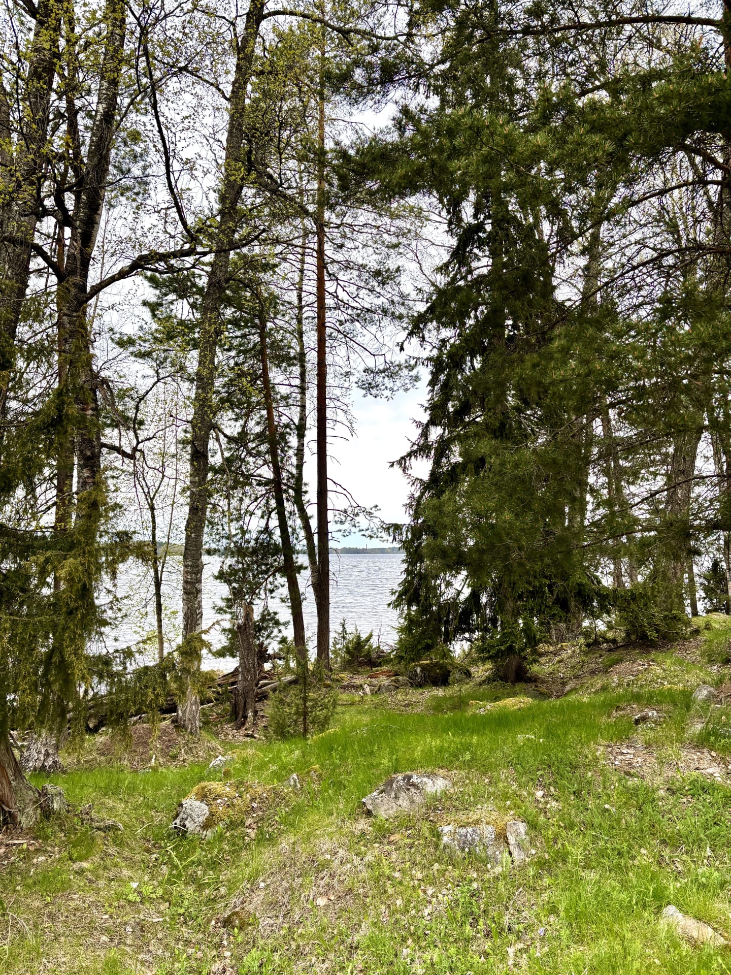 Vehmaanniemi maisema