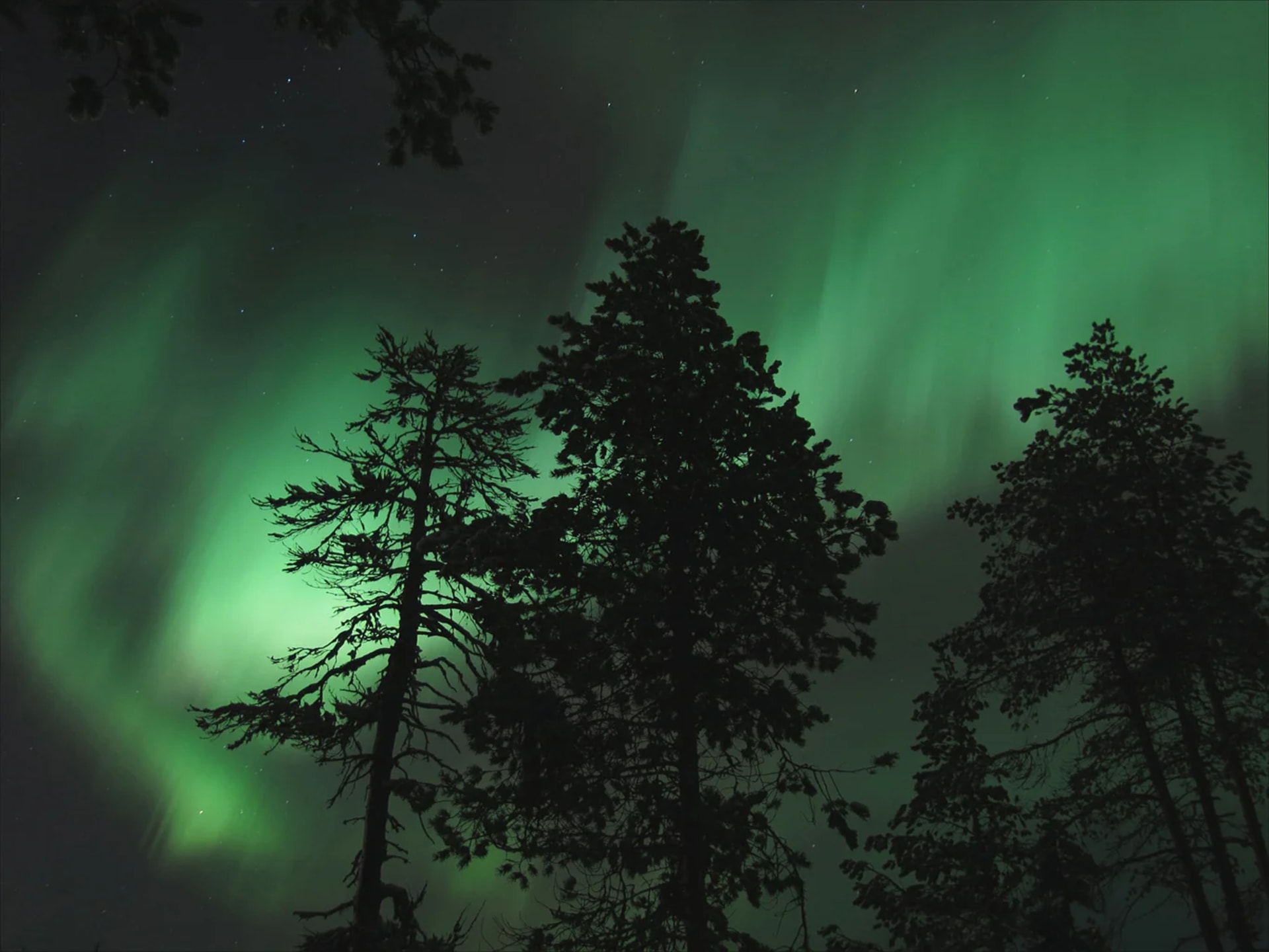 Searching for The Northern Lights with Snowshoes