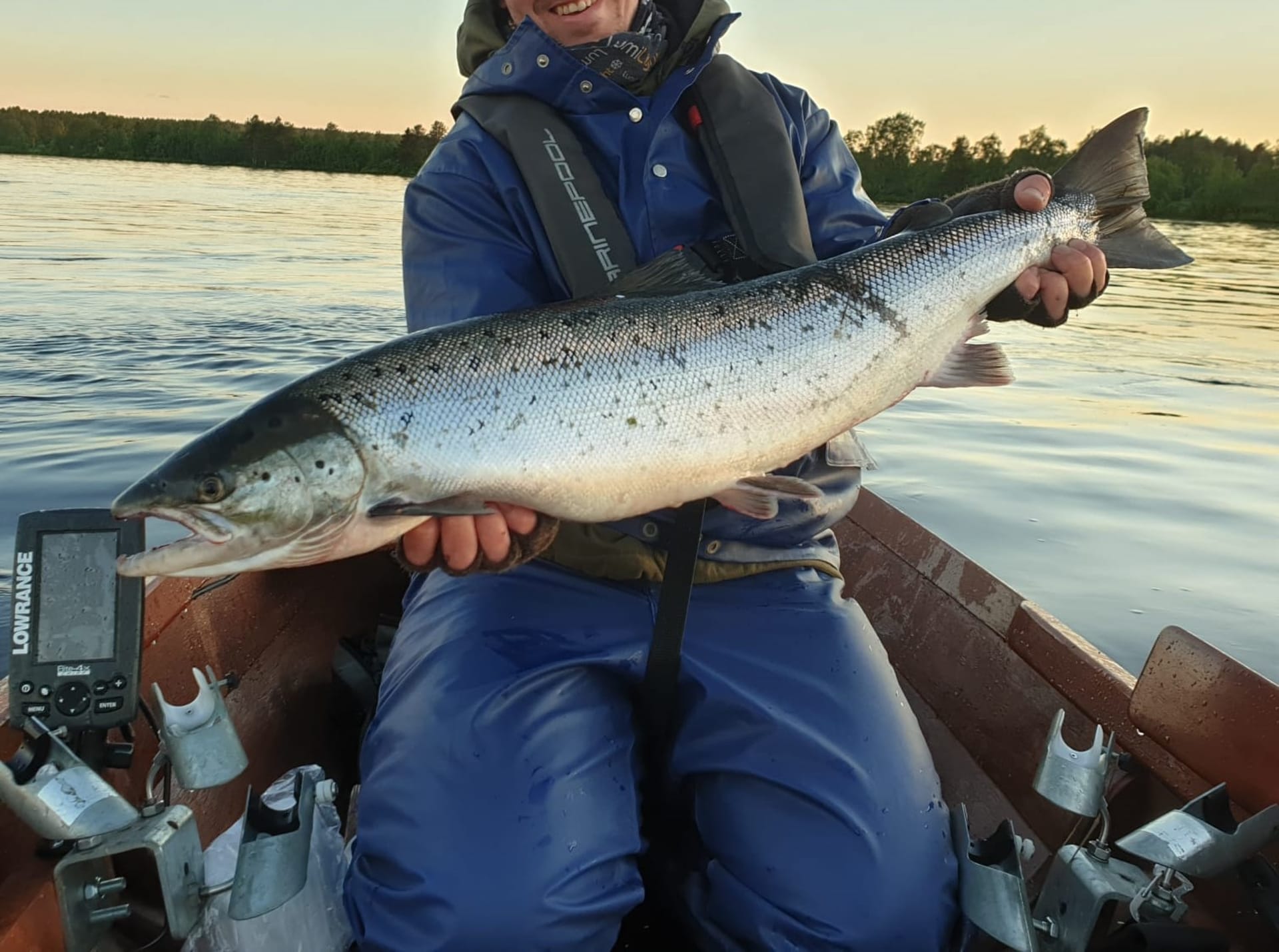 Baltic Salmon from river Tornion-Muonion