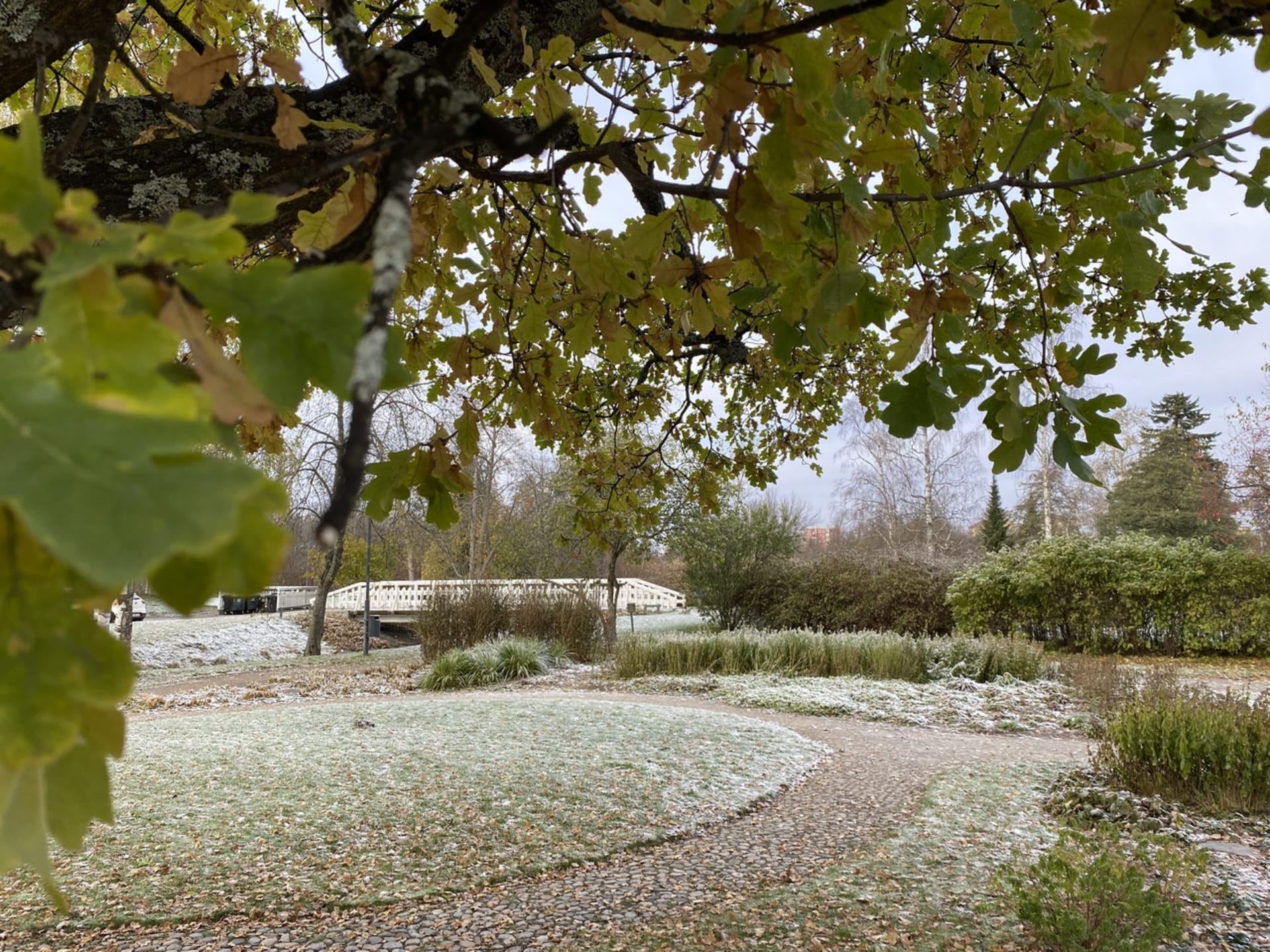 Hupisaaret city park covered with frost in October.