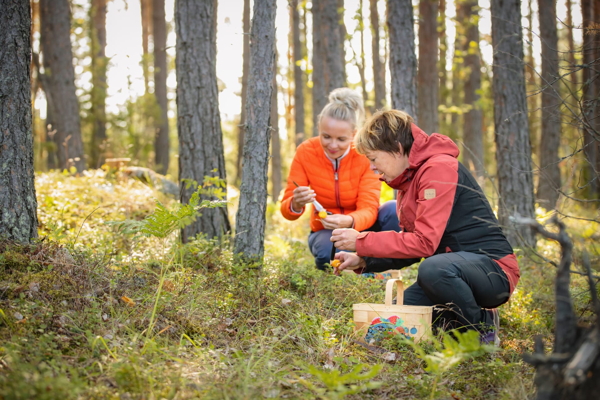 Wild Food from the Forest, Lahti