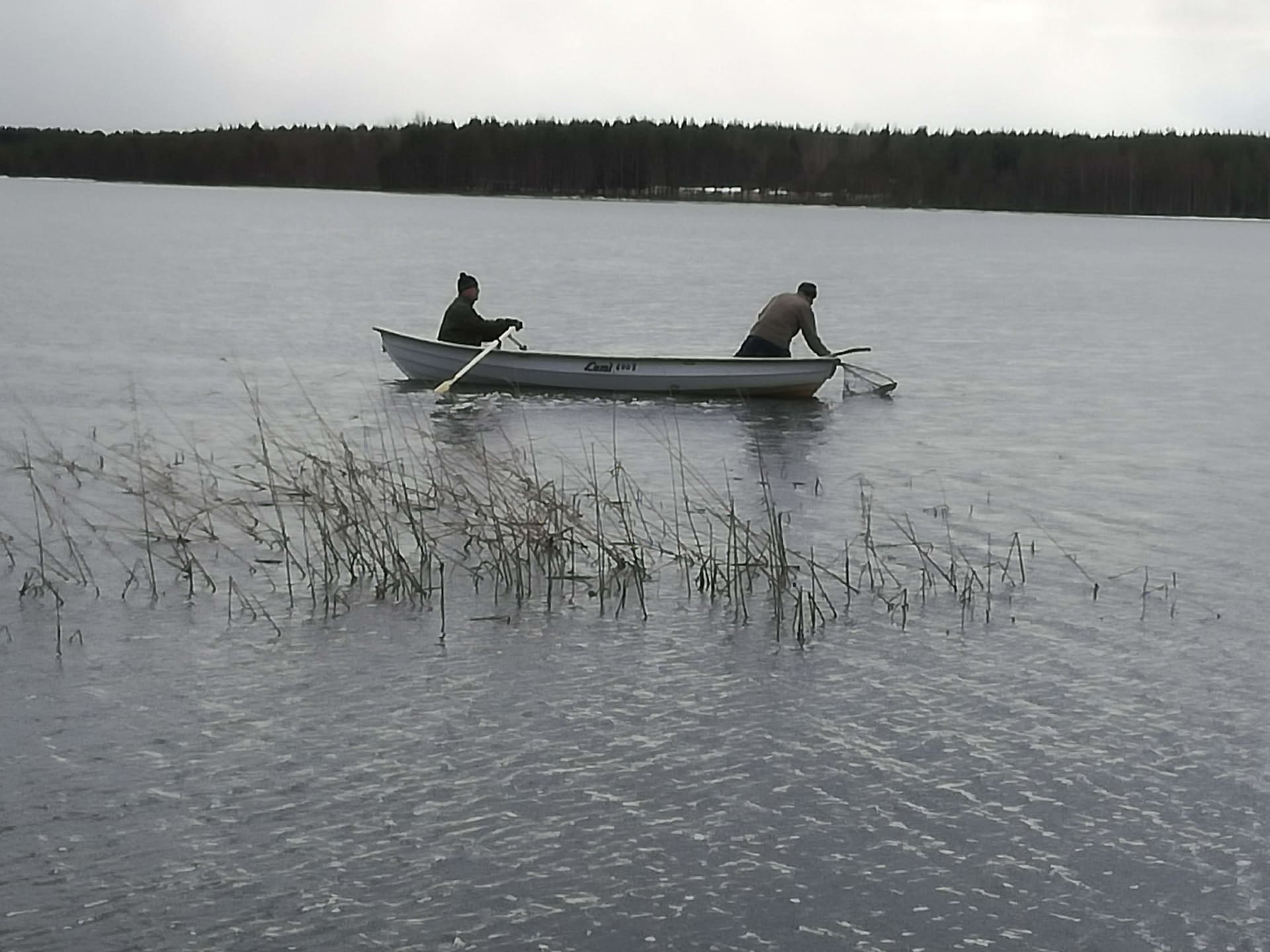 Puhtaasta järvestä villikalaa, aitoa ja taattua lähiruokaa.
