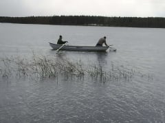Puhtaasta järvestä villikalaa, aitoa ja taattua lähiruokaa.