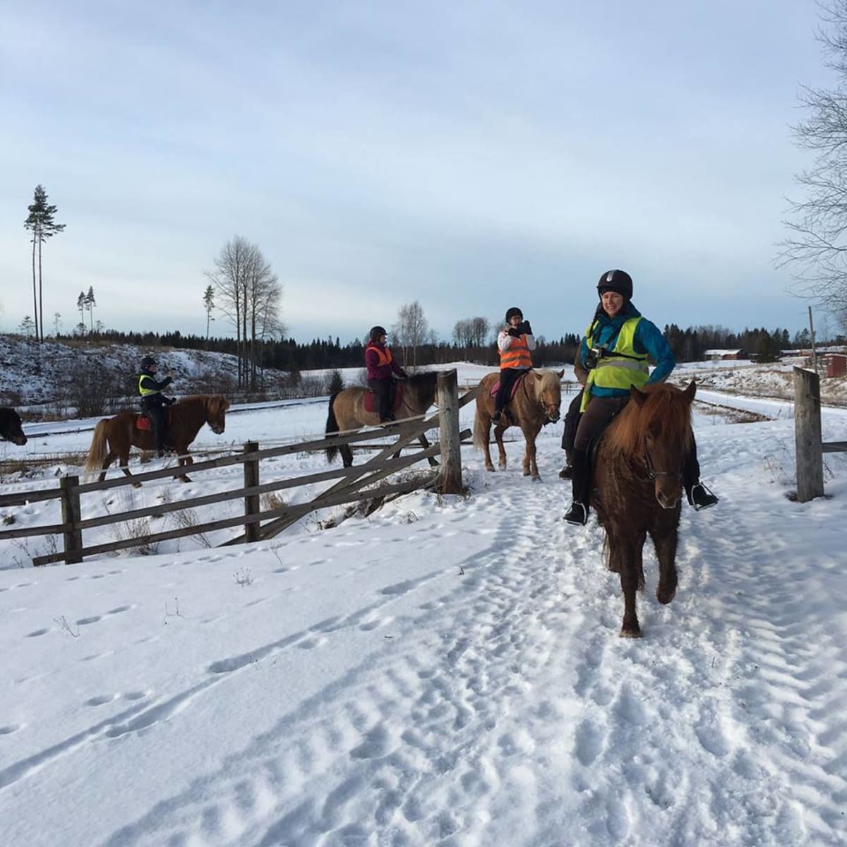 Trail Riding and Riding Lessons