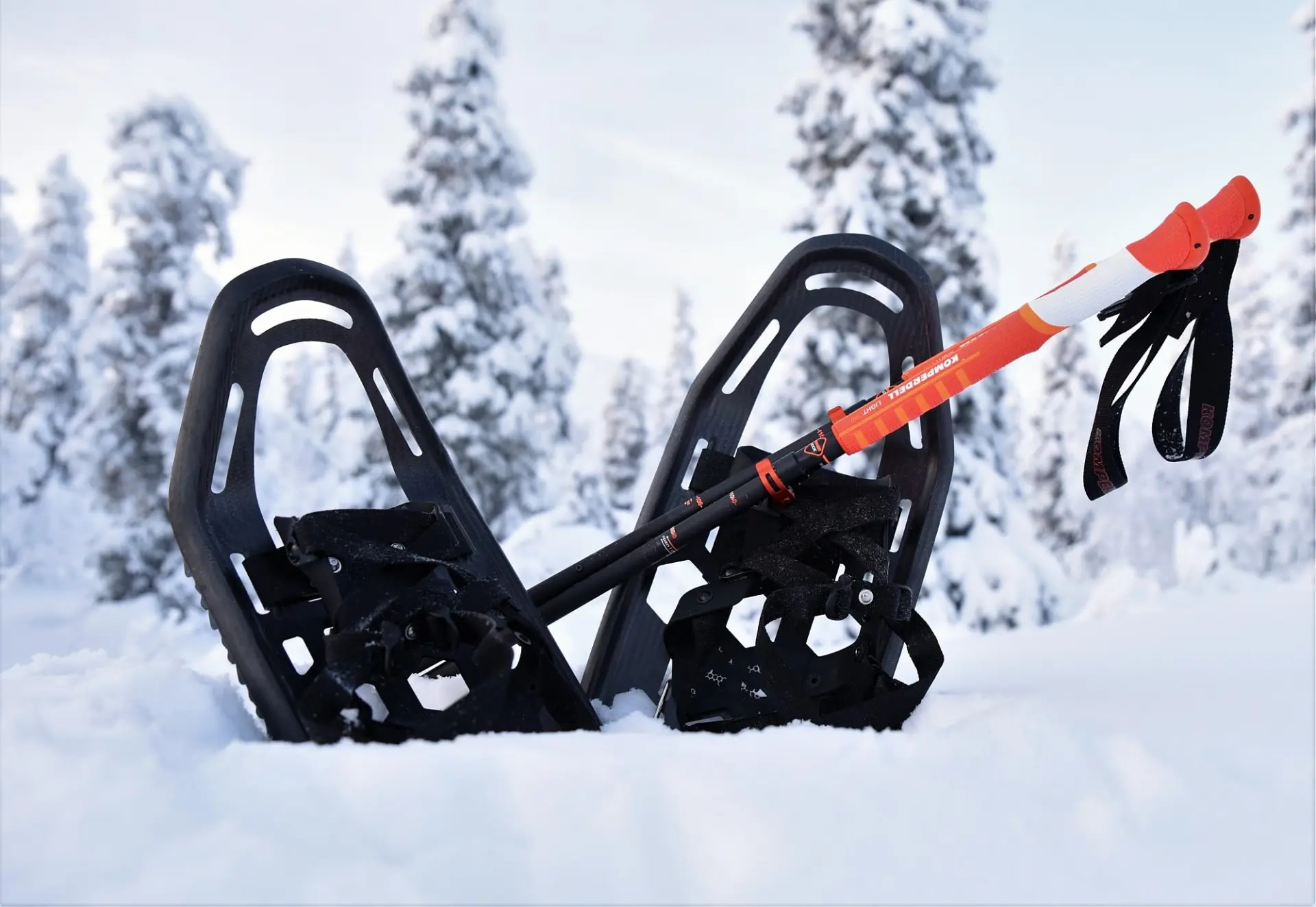 Snowshoe rental in Levi