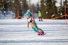 Hese-tarkkuuslaskukisa