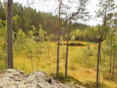 Hiiden Polut: Enkelinpesän kierros