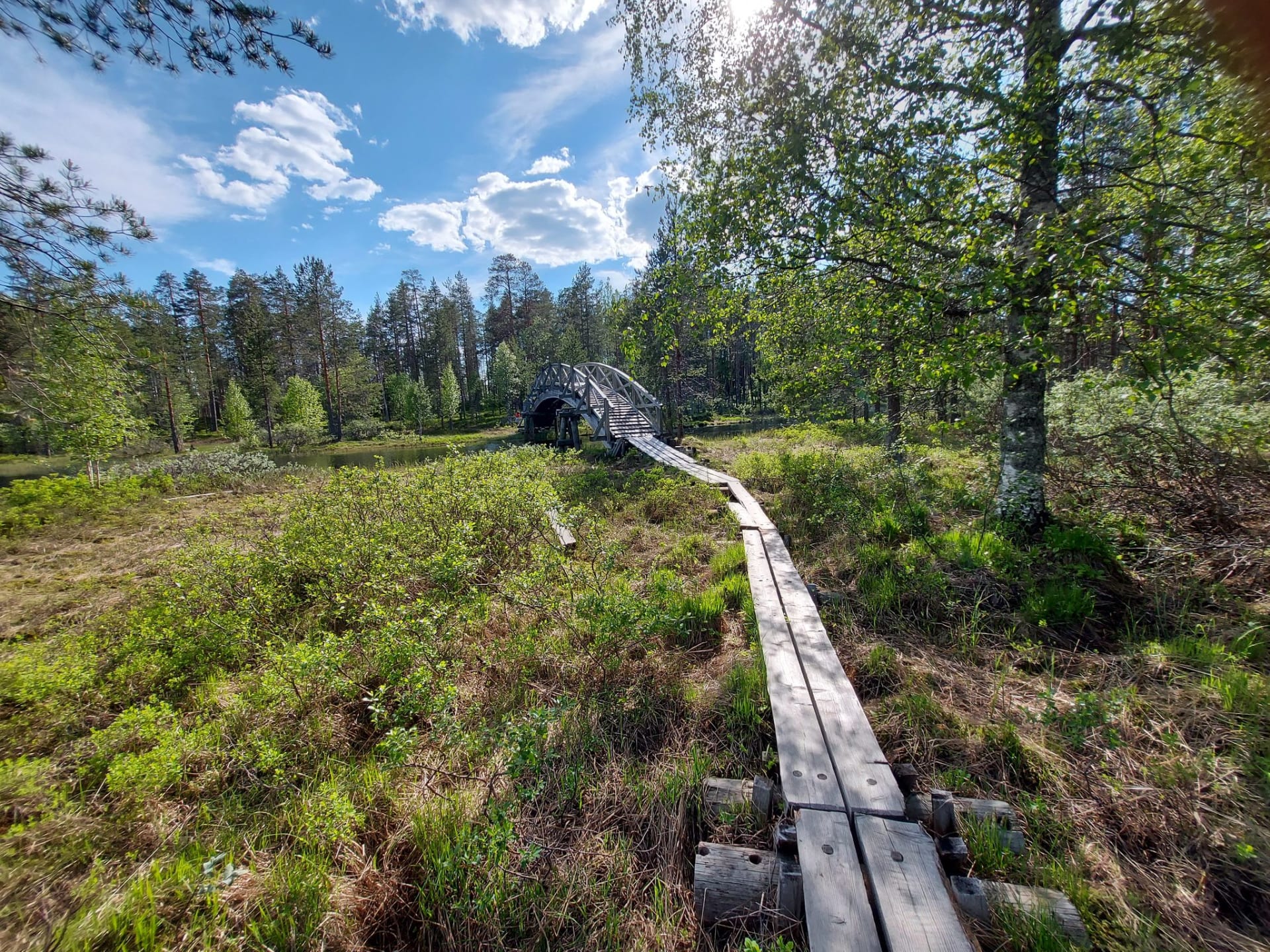 Day in a national park