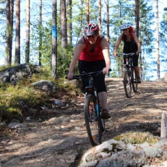 Two cyclists on the forest path