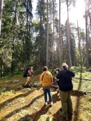 Virkistävä päiväretki Liesjärven kansallispuistoon