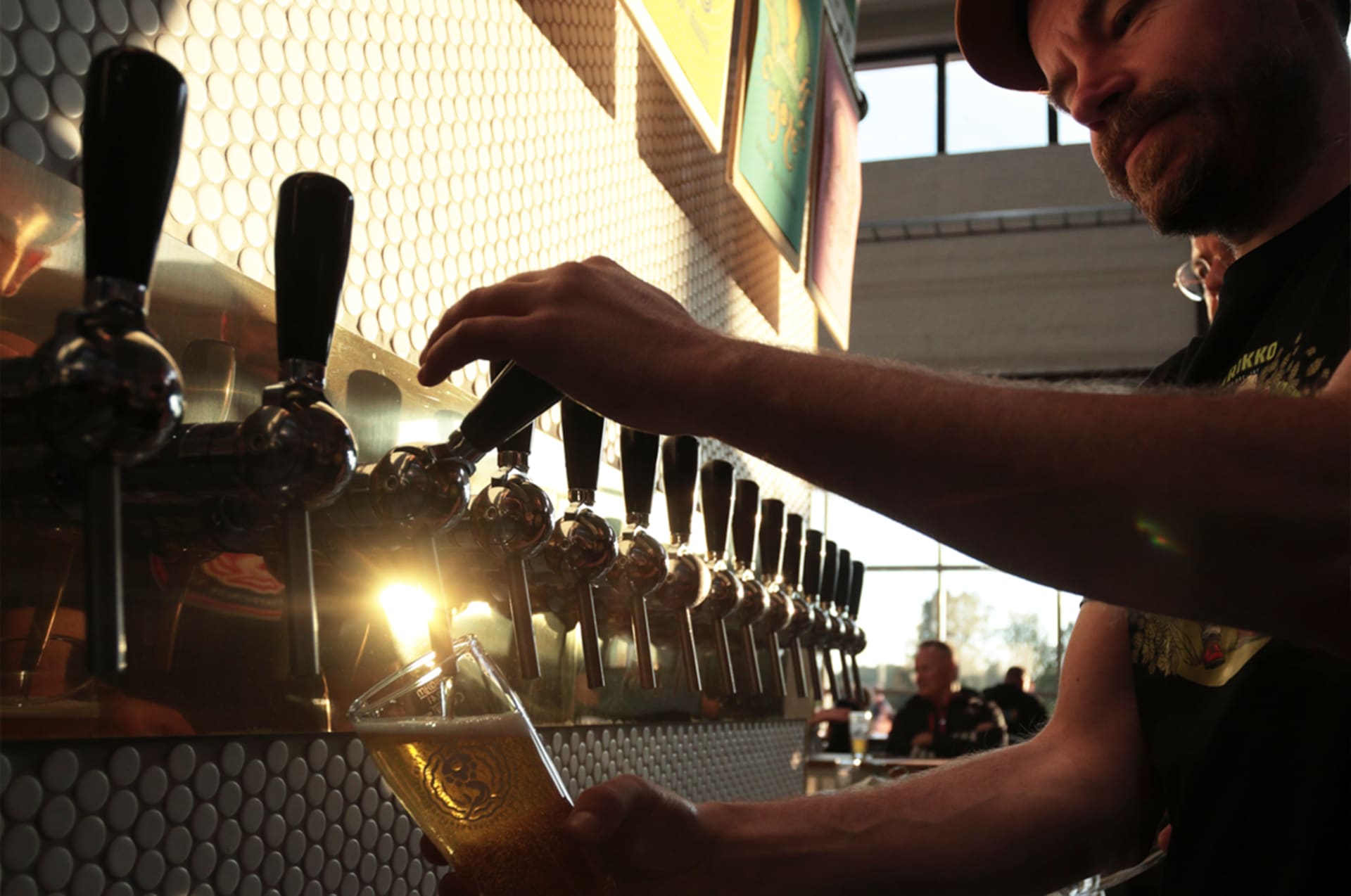 Low-angle shot of a skilled bartender pouring a fresh craft beer from the long tap row