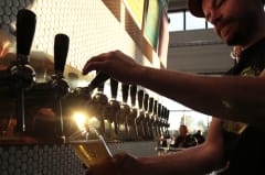 Low-angle shot of a skilled bartender pouring a fresh craft beer from the long tap row