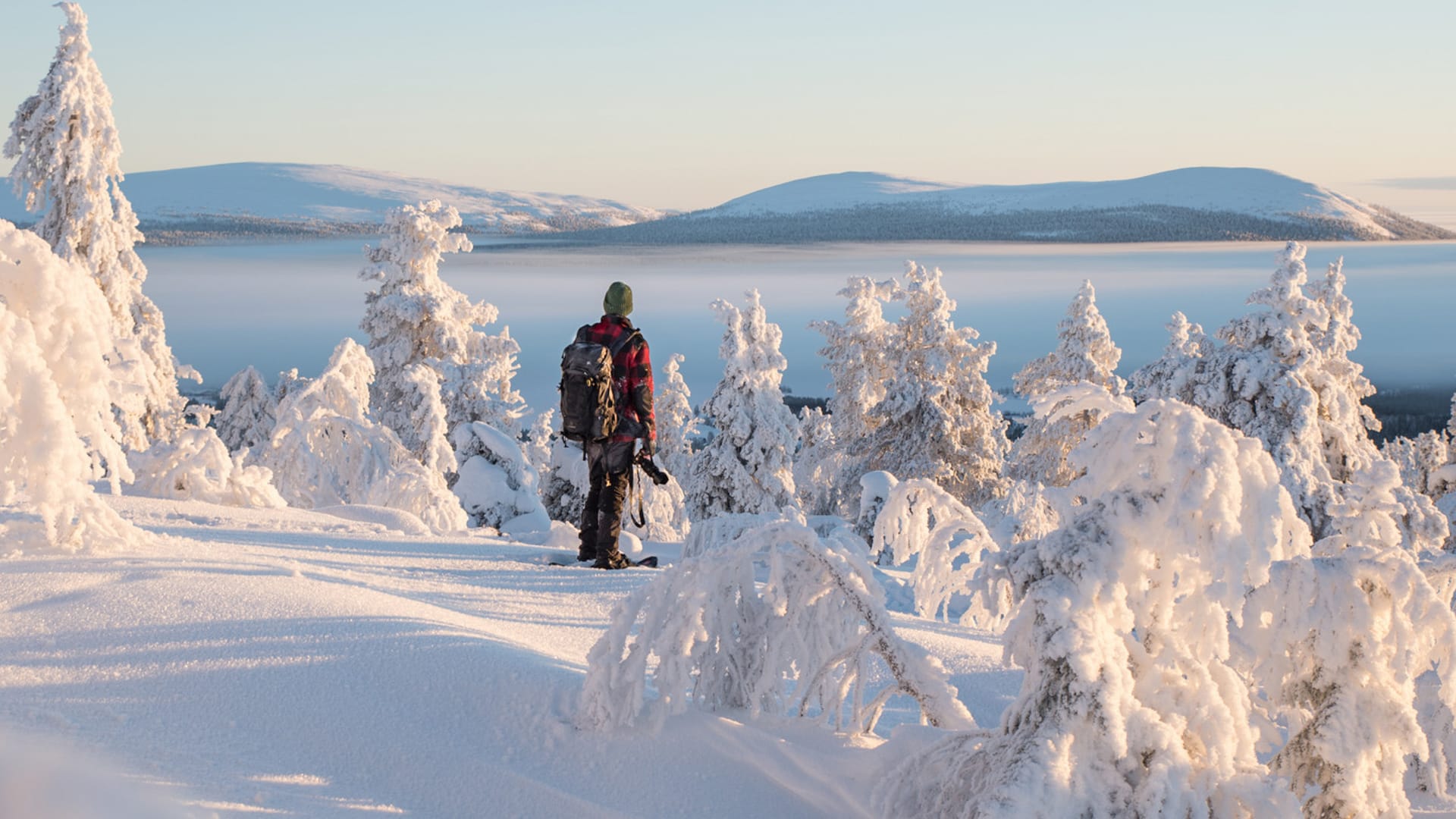 Fell Kuertunturi