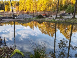 Näkymä Olavinlähteeltä 26.12.2025