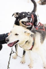 Vauhdin Hurmaa ja Rentoutumista