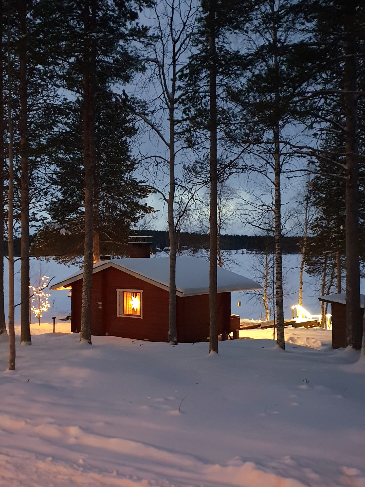 sauna