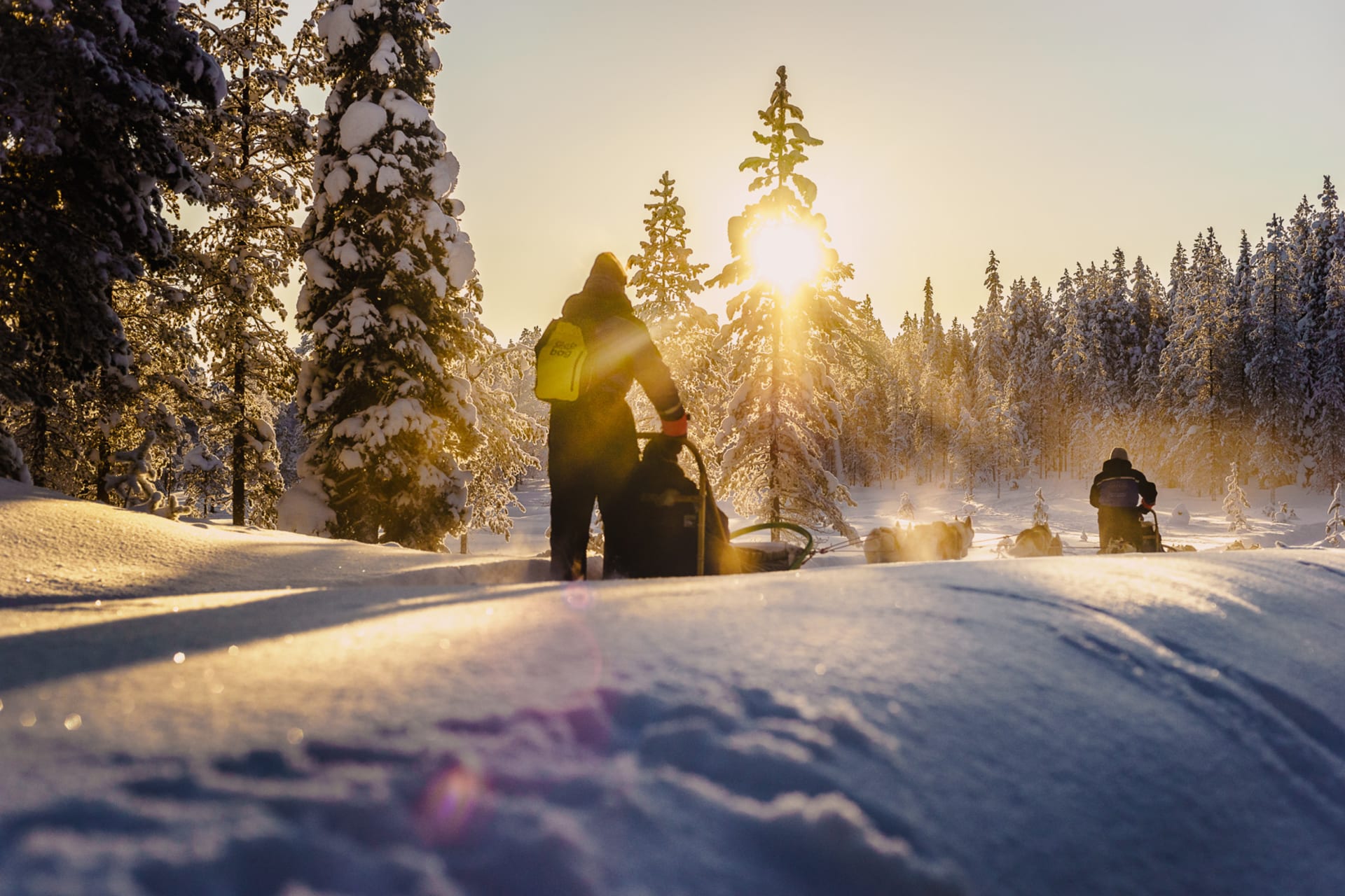 Husky Safari, Salla