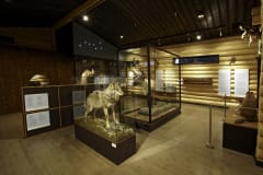 Luontopirtti Mesikkä