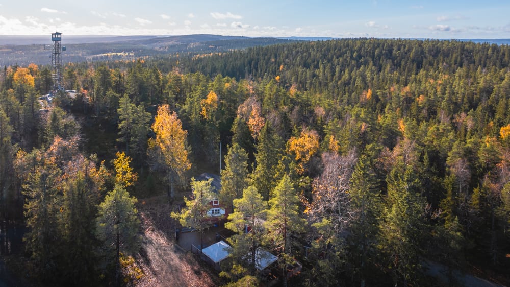 Autumn colors on the hill
