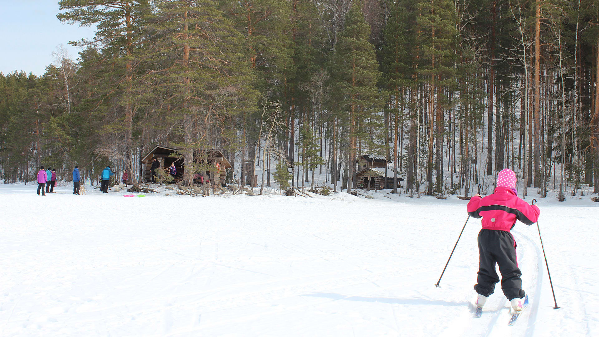 Pappilanniemi-Nuotioniemi shelter
