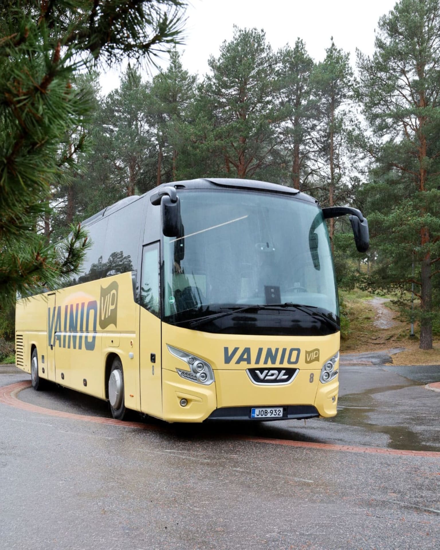 yellow bus on a parking lot near a forest