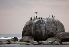 Merenkurkun saariston maailmanperintöalue.