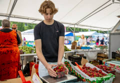 Mansikanmyyjä Mikkelin torilla.
