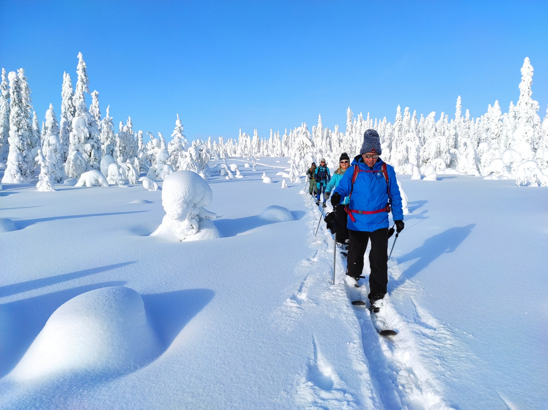 Backcountry Skiing Trip  in Syöte National Park