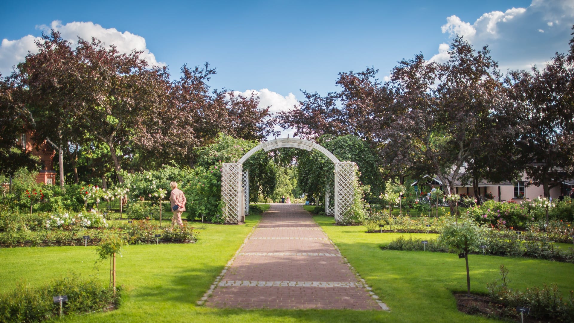 Arboretum rose garden in summer
