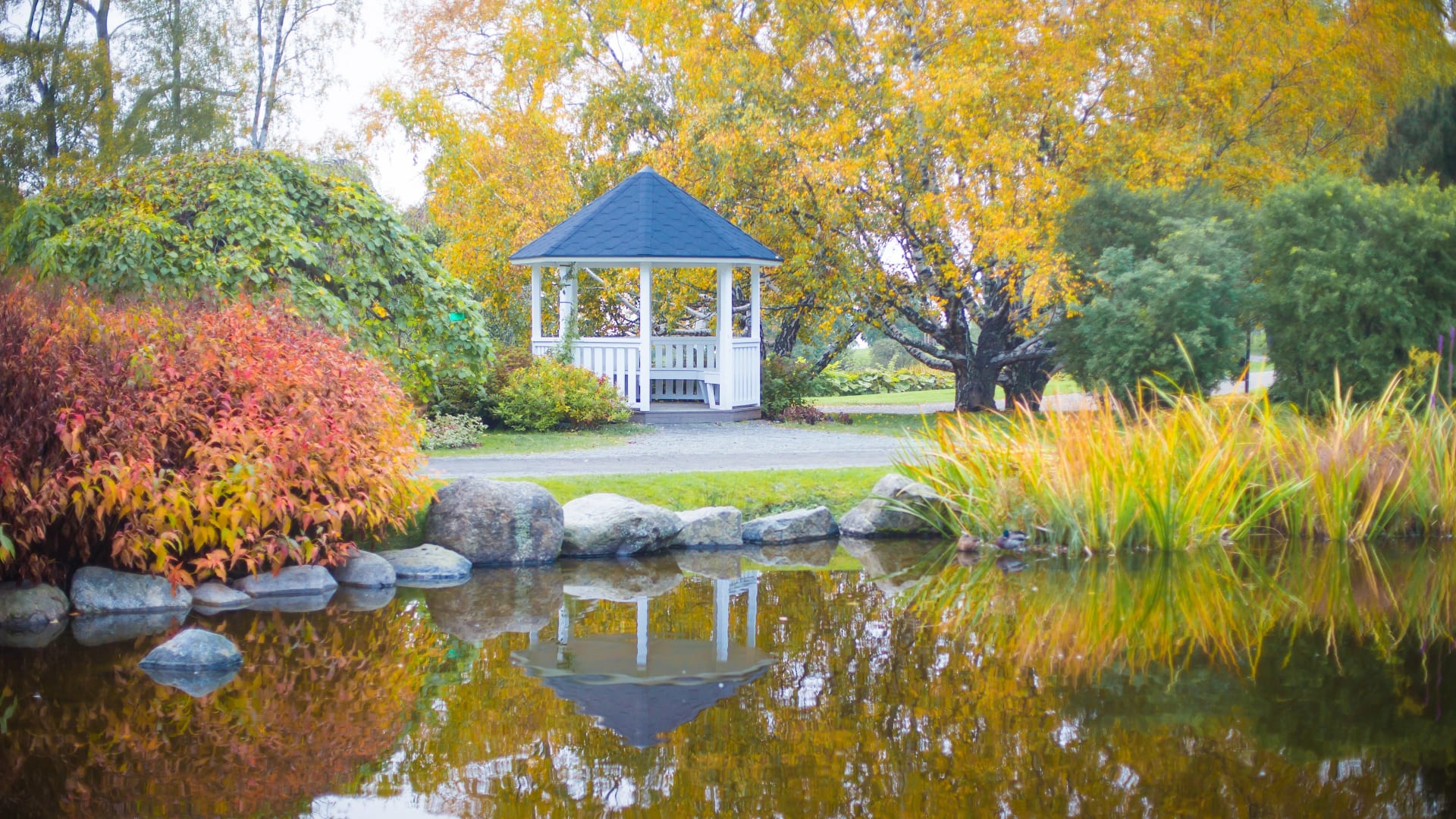 Arboretum park in autumn