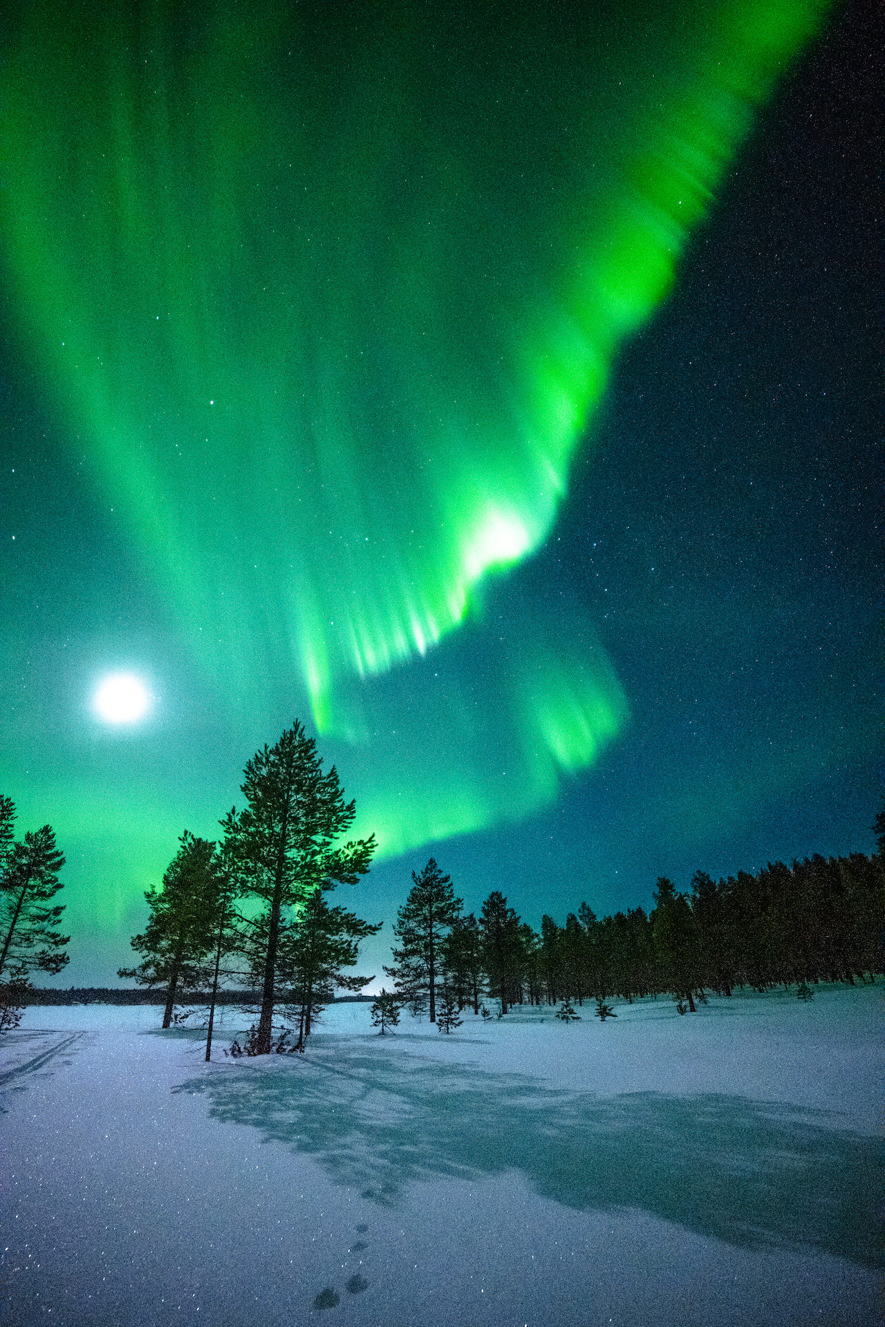 Aurora sky