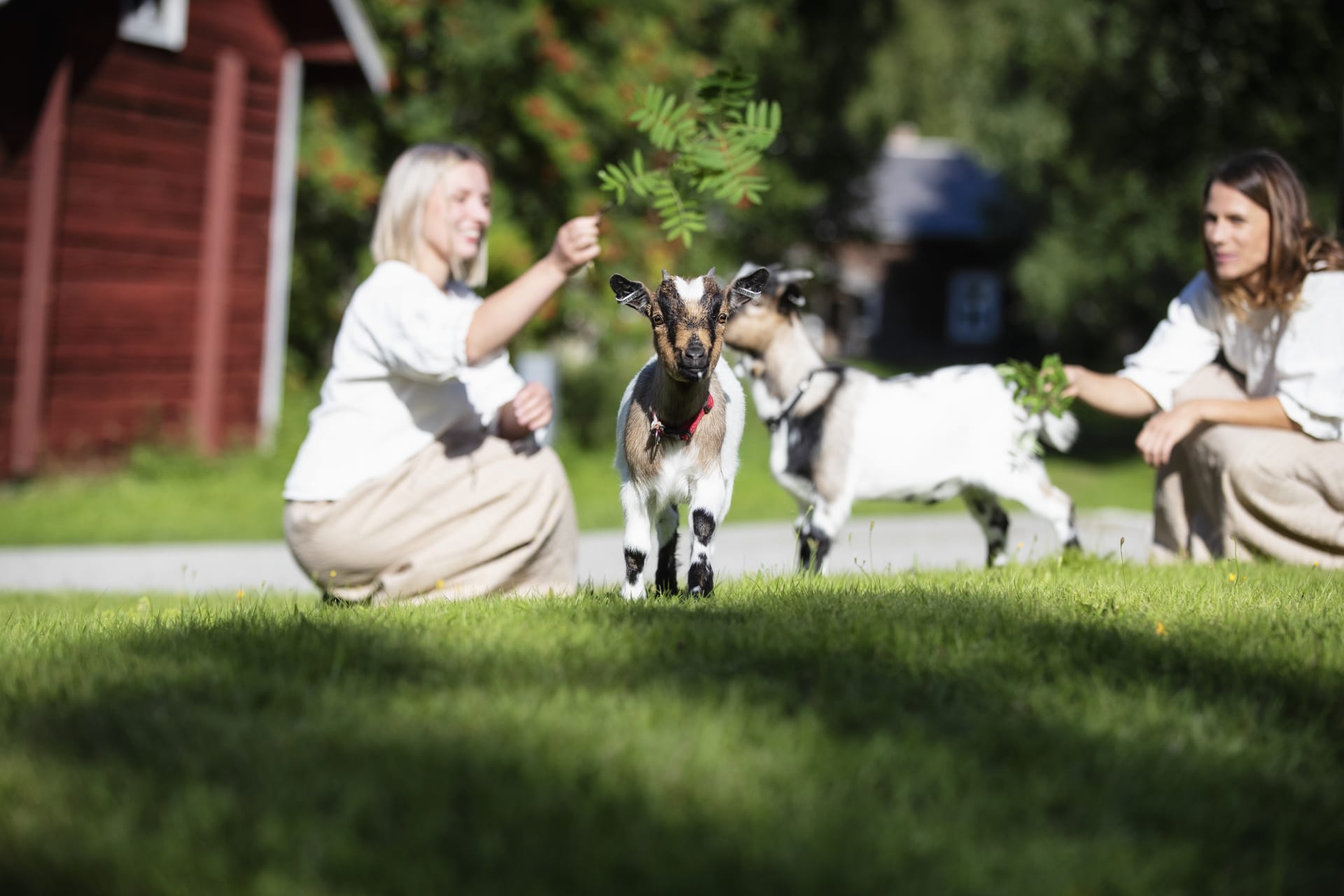 Majatalosta majataloon pyörävaellus