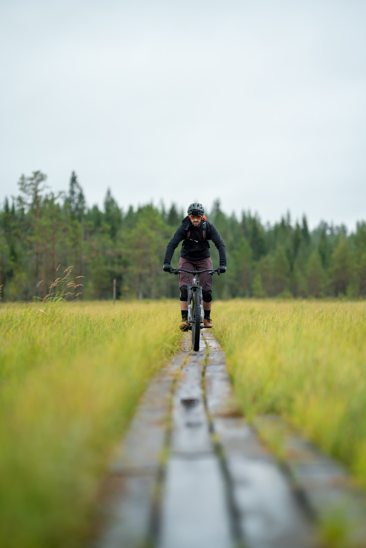 Duckboard in Syöte National Park