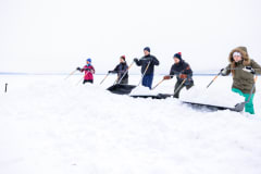 Saimaa seals need help