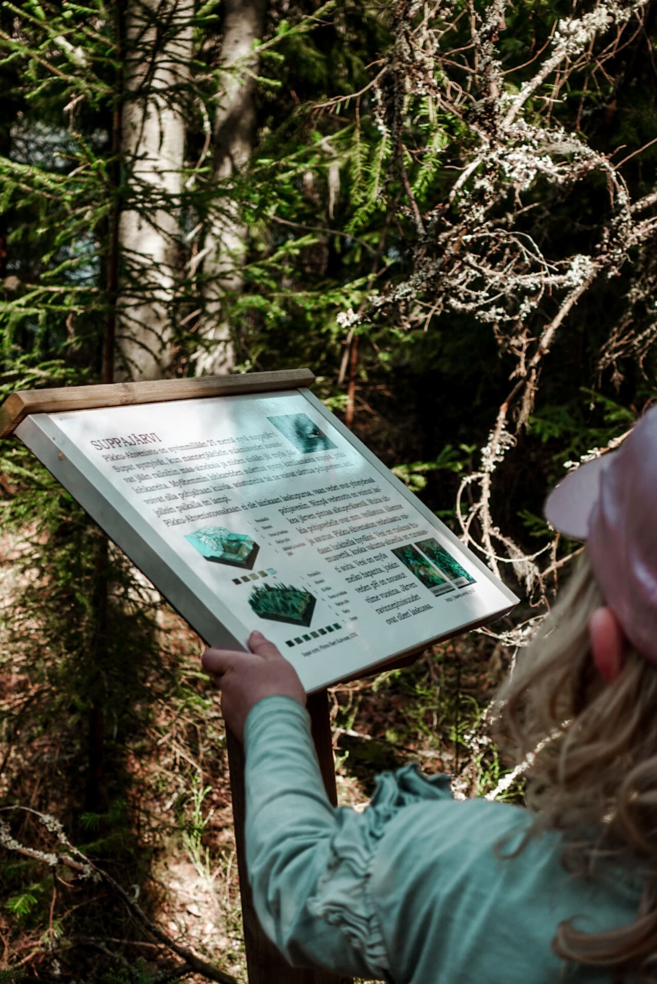 Lapsi tutkii luontopolun varrella olevaa infokylttiä