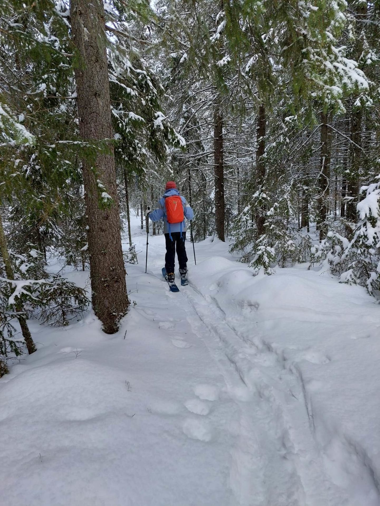 Ski trekking in the backcountry.