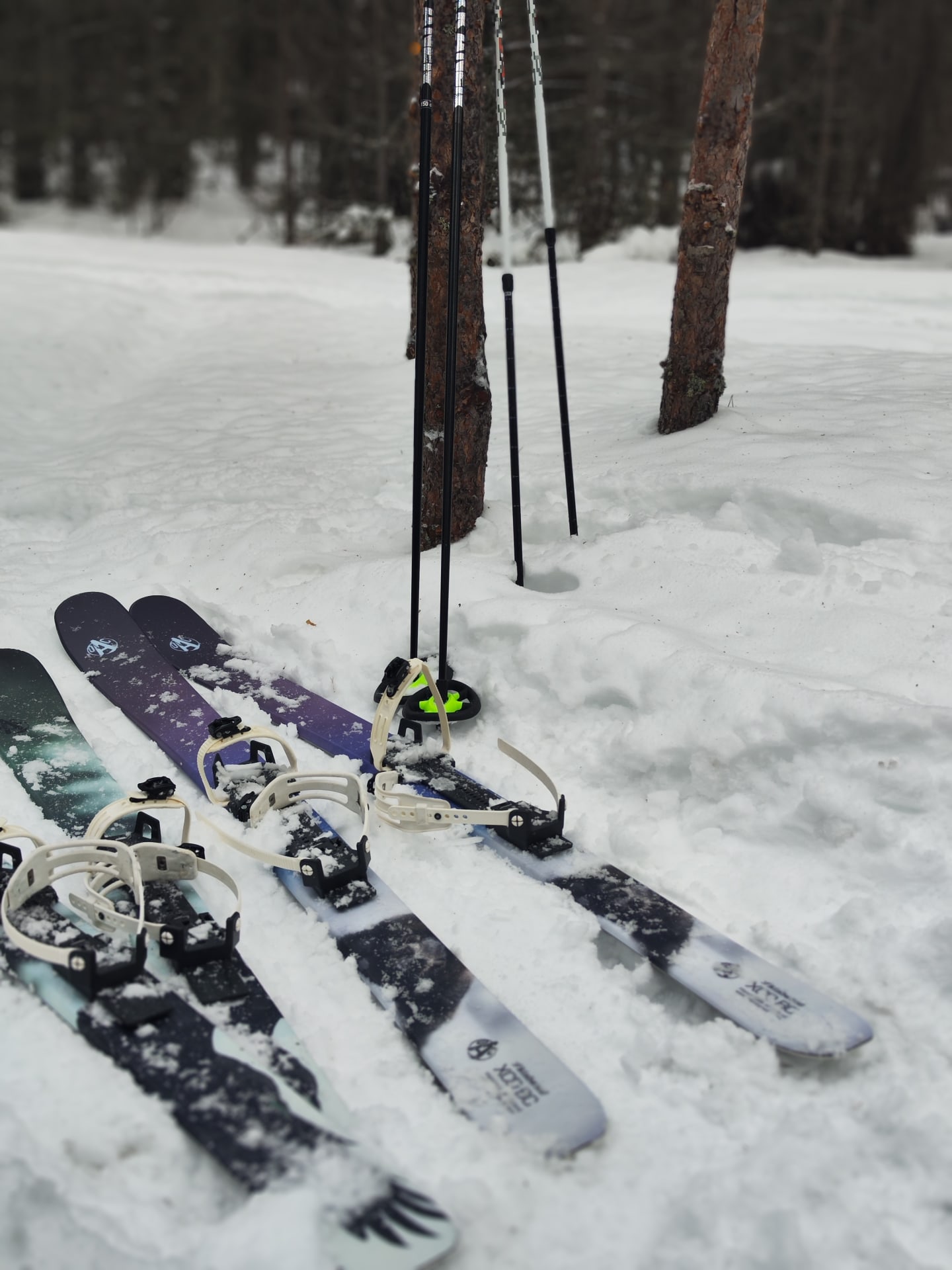 Sliding snowshoes