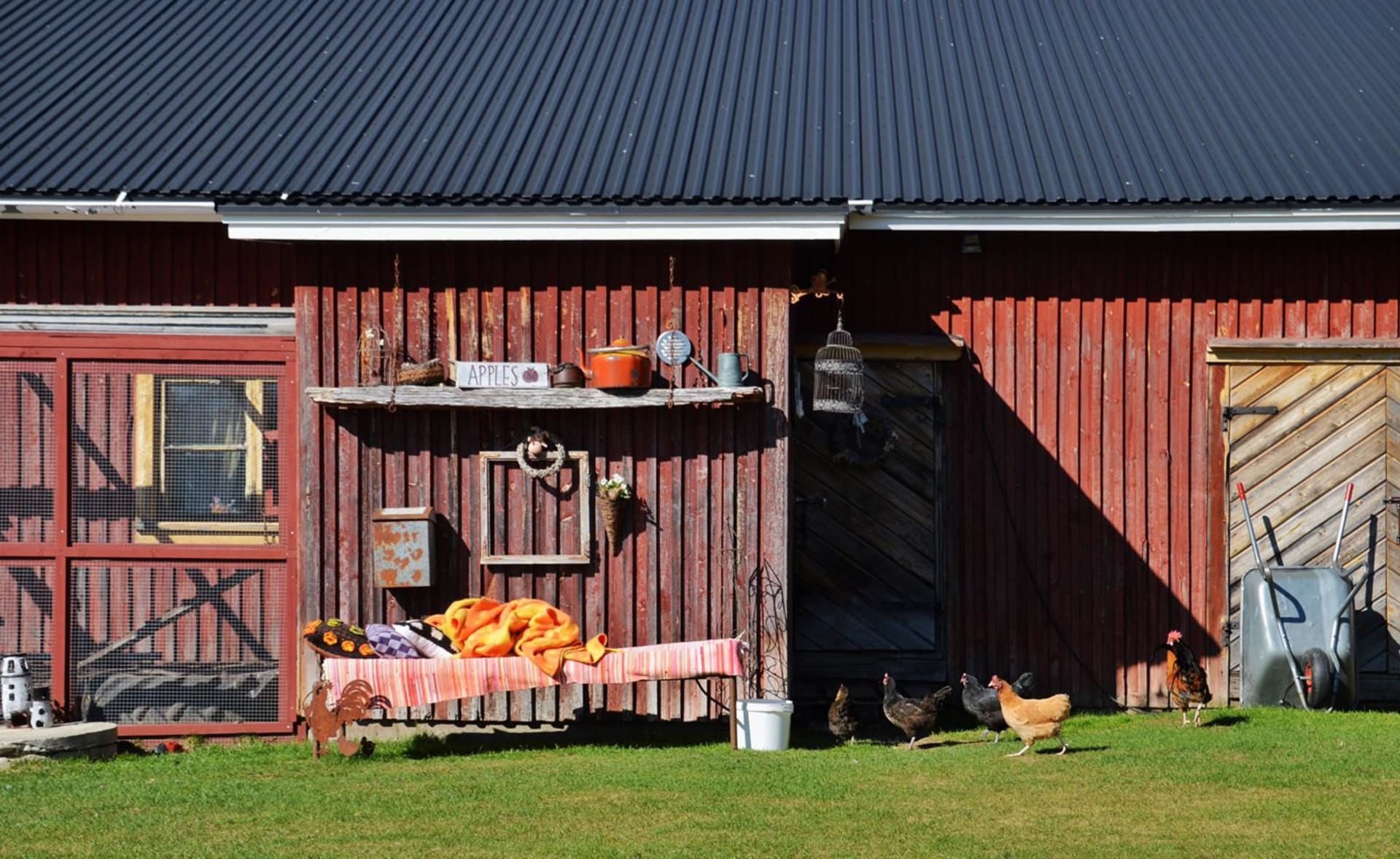 Pääkorva Farm