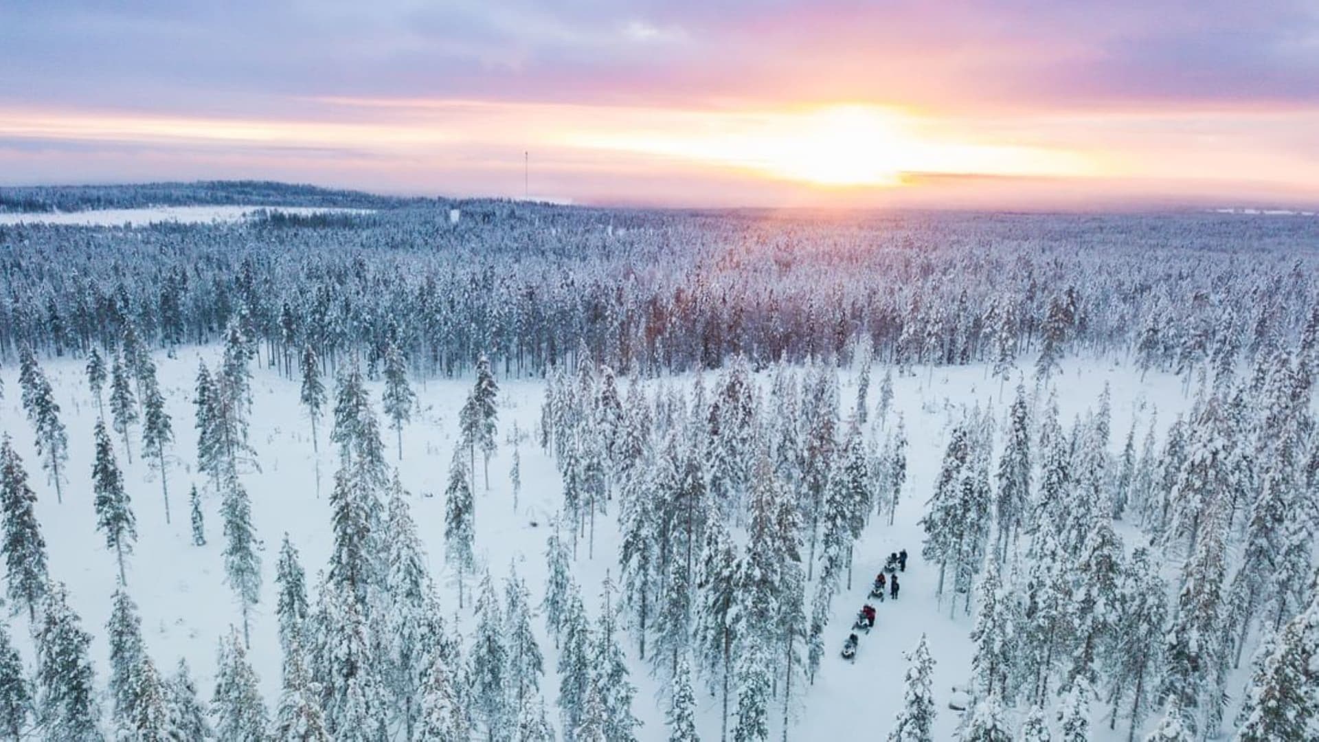 Arctic Secrets & Sleigh Ride at the Arctic Circle