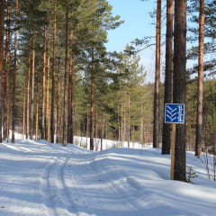 Valaistu hiihtokuntorata