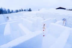 The Snow Labyrinth