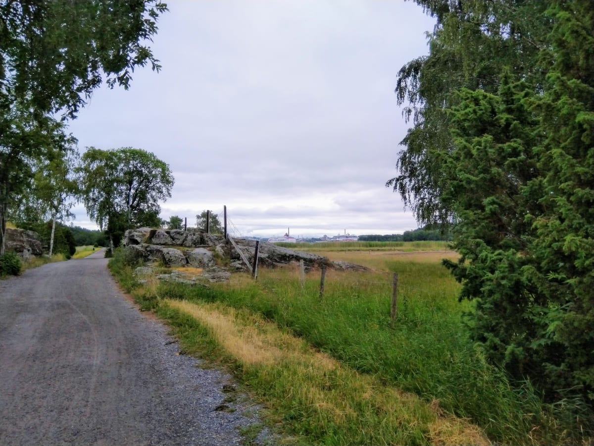 Ruissalo Nature Walk and Finnish Barbecue Experience