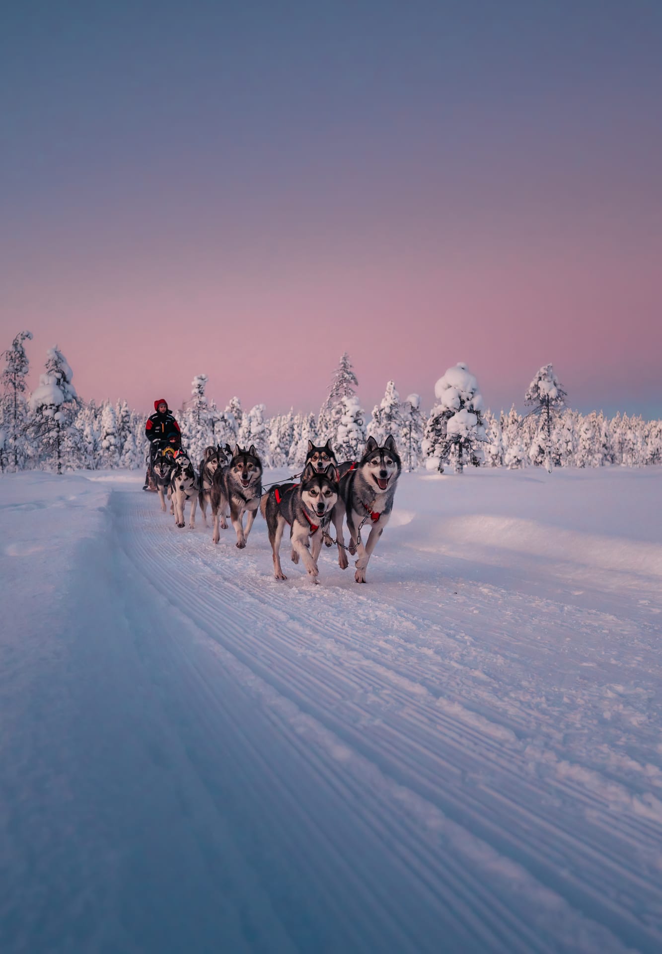 Husky ride