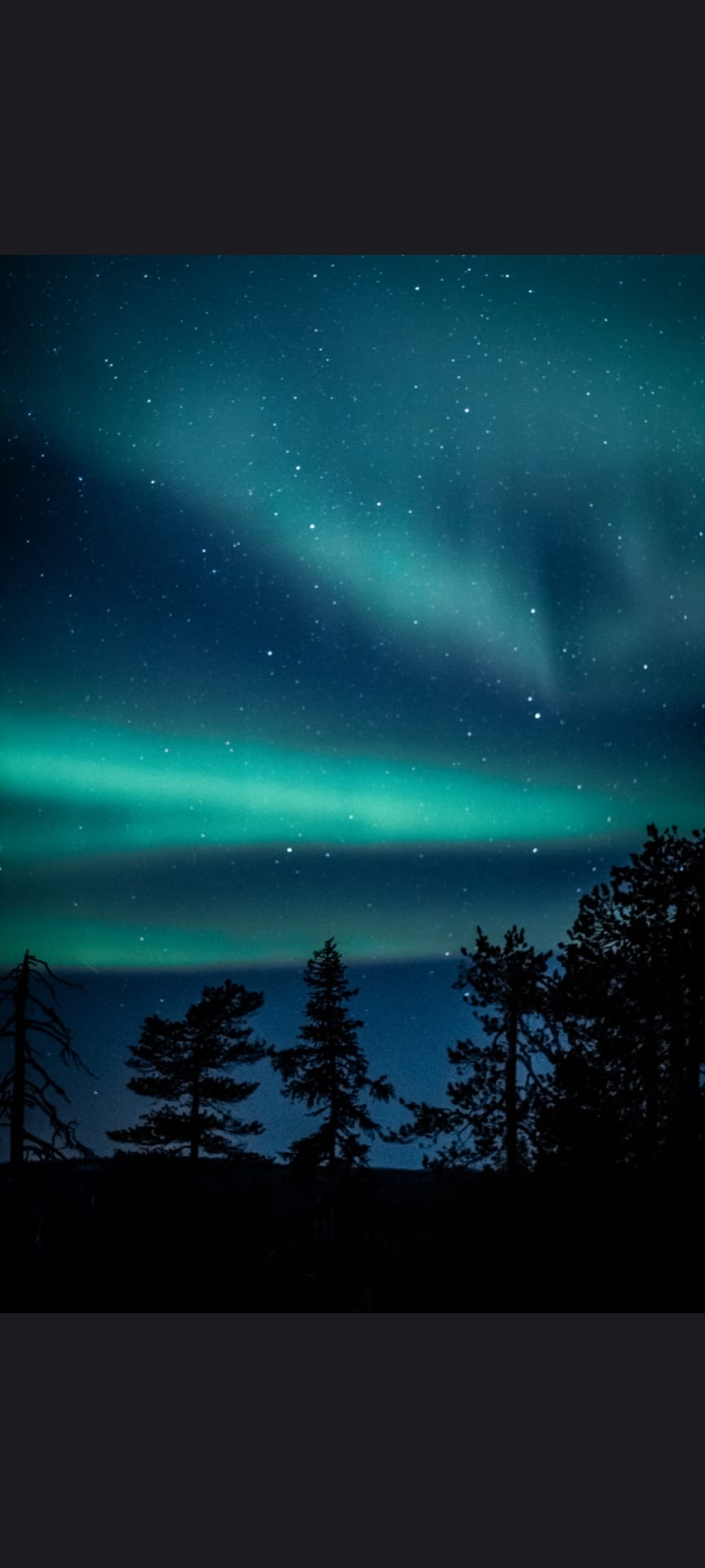 Northern Lights Experience