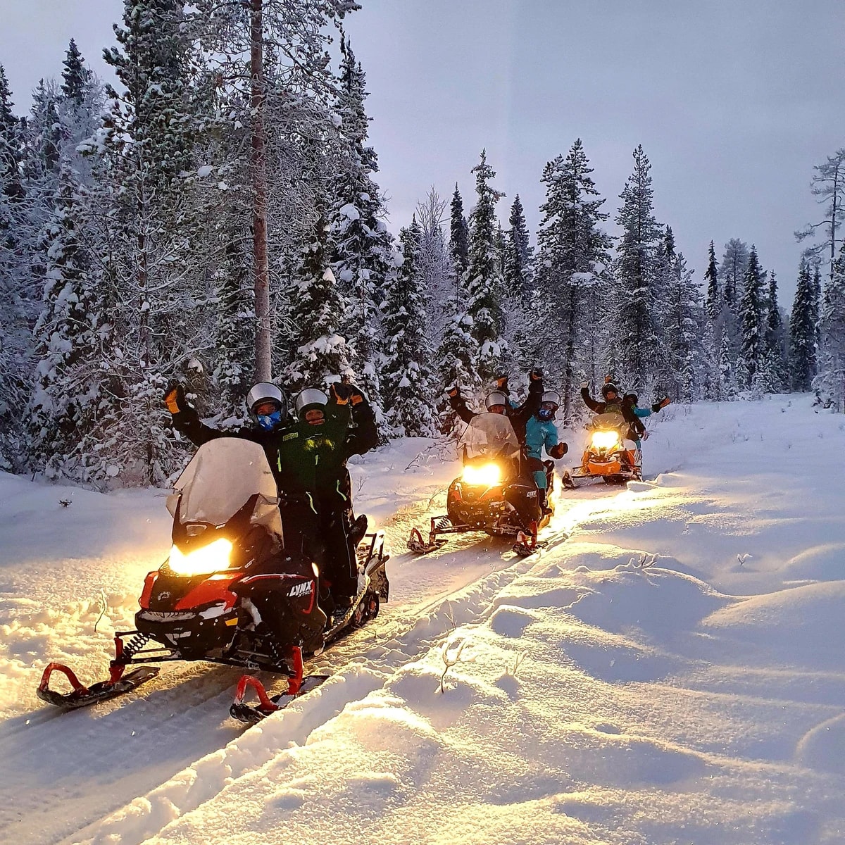 Evening snowmobile tour to wilderness hut