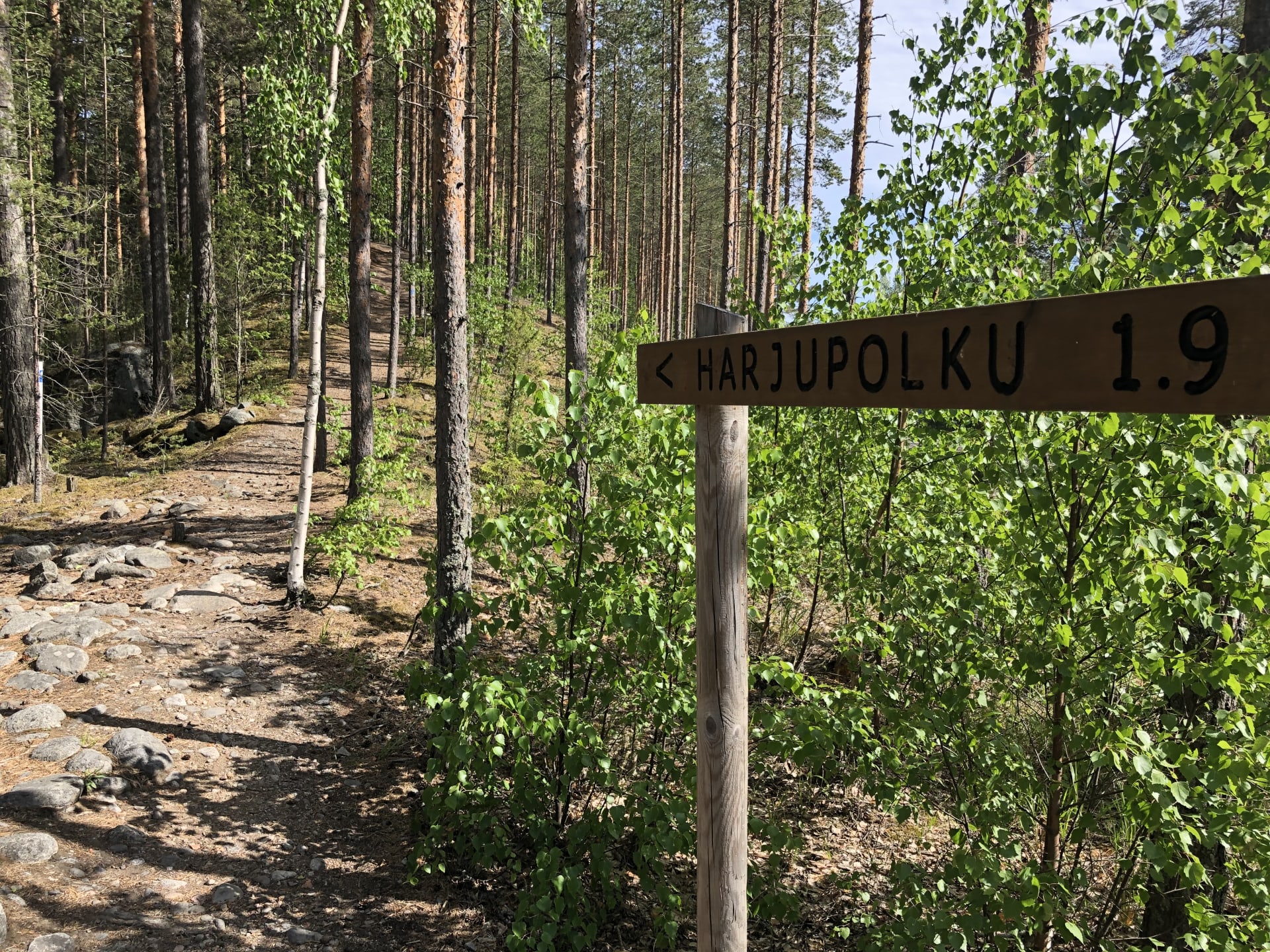 Pulkkilanharjun harjupolun kyltti Päijänteen kansallispuistossa