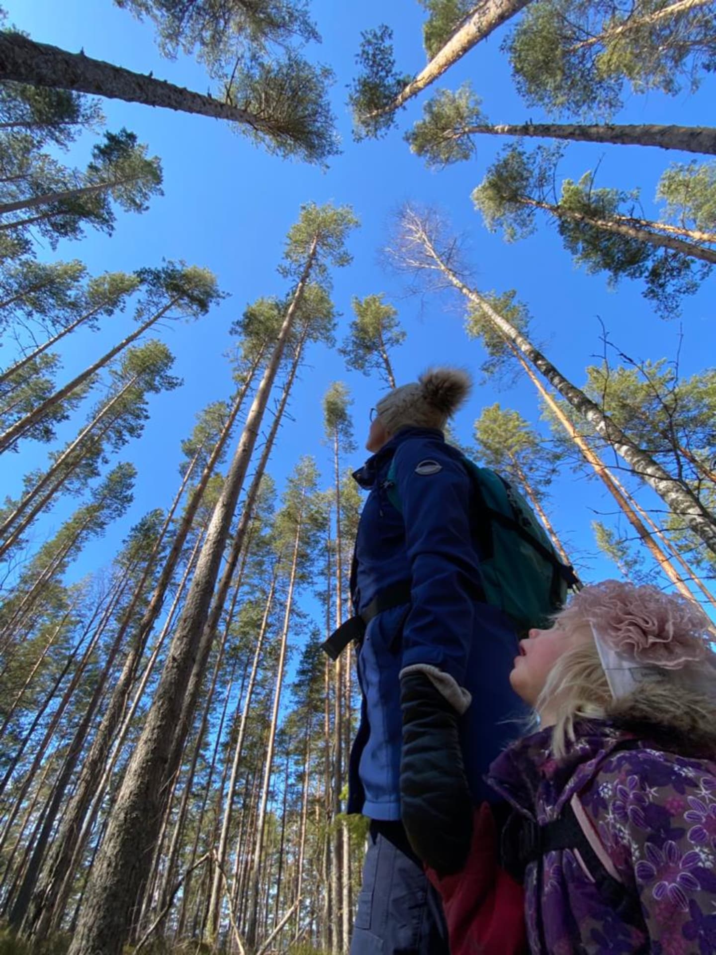 Aikuinen ja lapsi Pulkkilanharjun luontopolulla